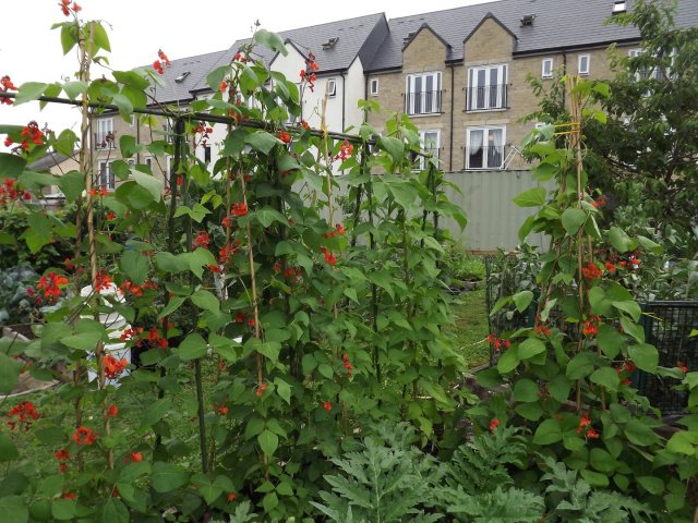 BarrowfordBestKeptGardens2019_112_25pc