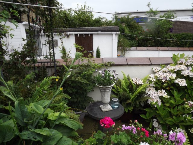 BarrowfordBestKeptGardens2019_137_25pc