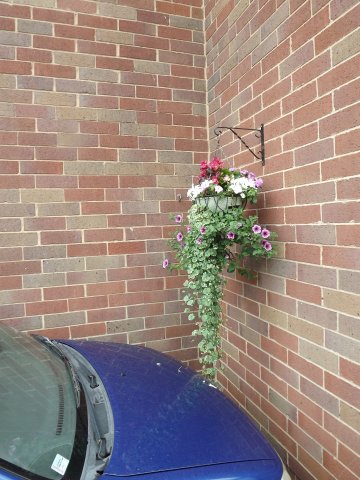 BarrowfordBestKeptGardens2019_143_25pc