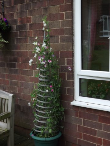 BarrowfordBestKeptGardens2019_151_25pc