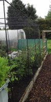 BarrowfordBestKeptGardens2019_114_25pc