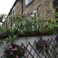 BarrowfordBestKeptGardens2019_195_25pc