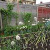 BarrowfordBestKeptGardens2019_089_25pc