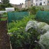 BarrowfordBestKeptGardens2019_108_25pc