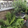 BarrowfordBestKeptGardens2019_141_25pc