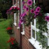 BarrowfordBestKeptGardens2019_159_25pc