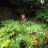 BarrowfordBestKeptGardens2019_307_25pc